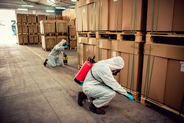 Best Affordable Pest Control Services  in Richmond, VA