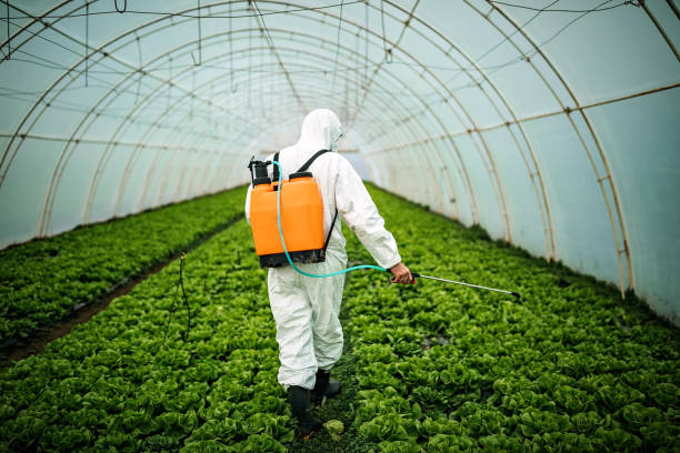 Best Best Pest Control Companies  in Richmond, VA