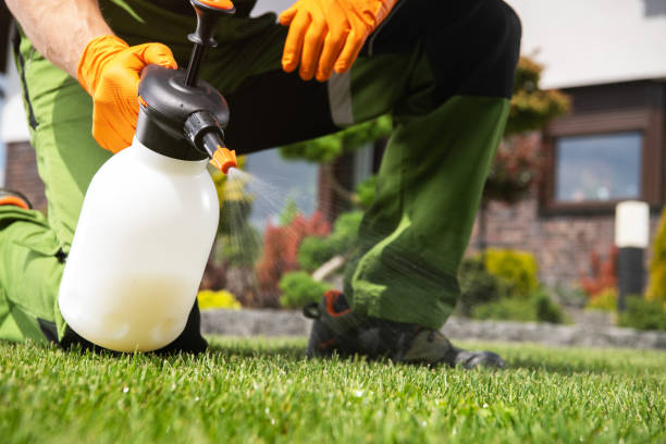 Best Wasp Removal Services  in Richmond, VA