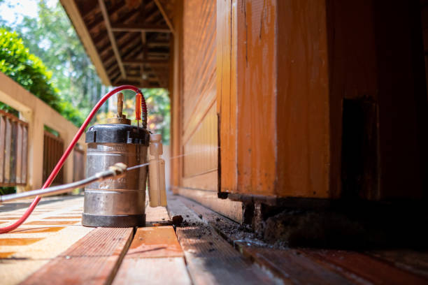 Best Wasp Removal Services  in Richmond, VA