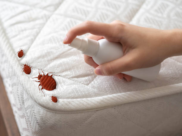 Best Insect Control  in Richmond, VA
