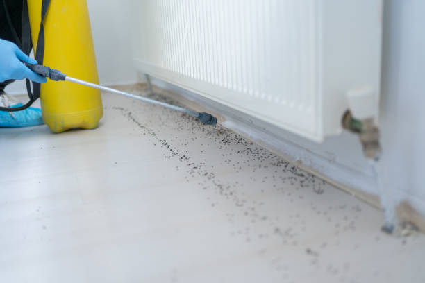Richmond, VA Pest Control Company